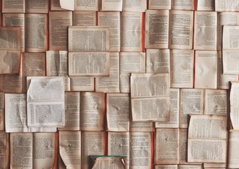 English langauge and literature at oxford centre for leadership and summer program