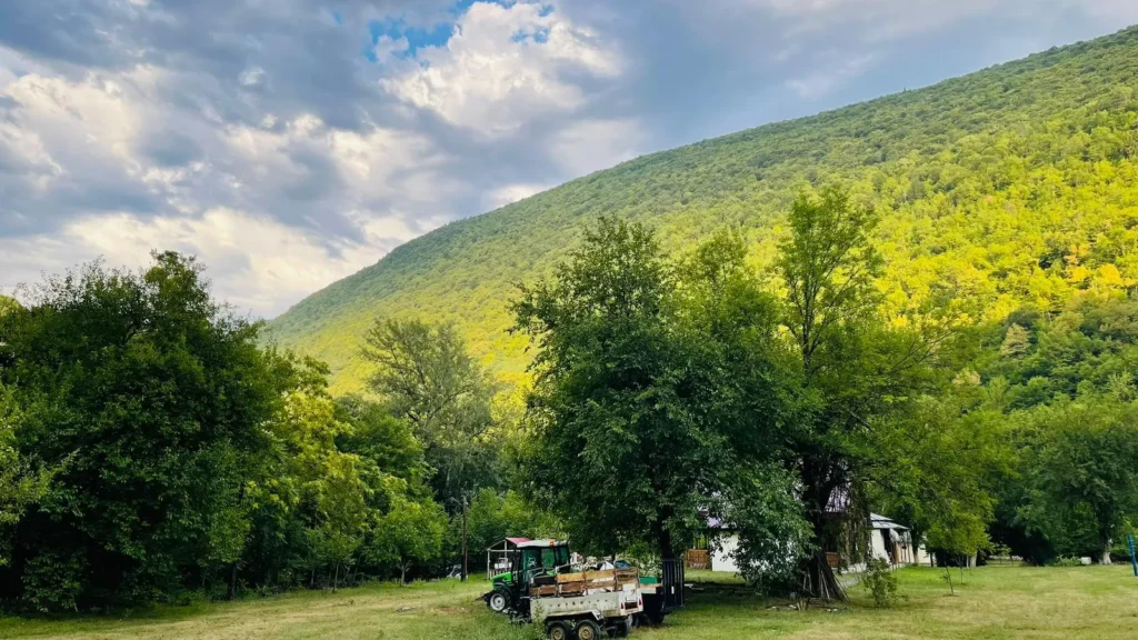 OXFORD GEORGIA PROGRAM